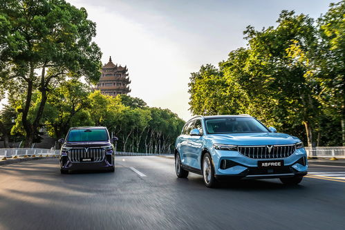 嵐圖汽車 人事結(jié)構(gòu)優(yōu)化促銷量增長，7月市場(chǎng)表現(xiàn)亮眼